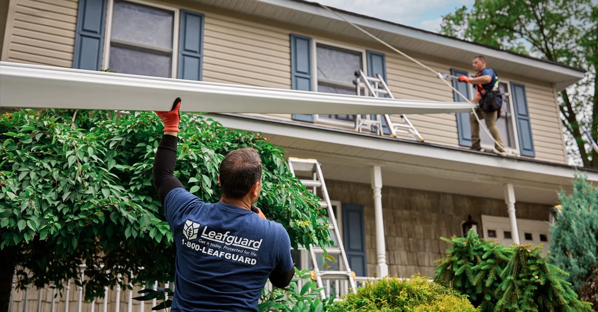 LeafGuard Gutter Protection