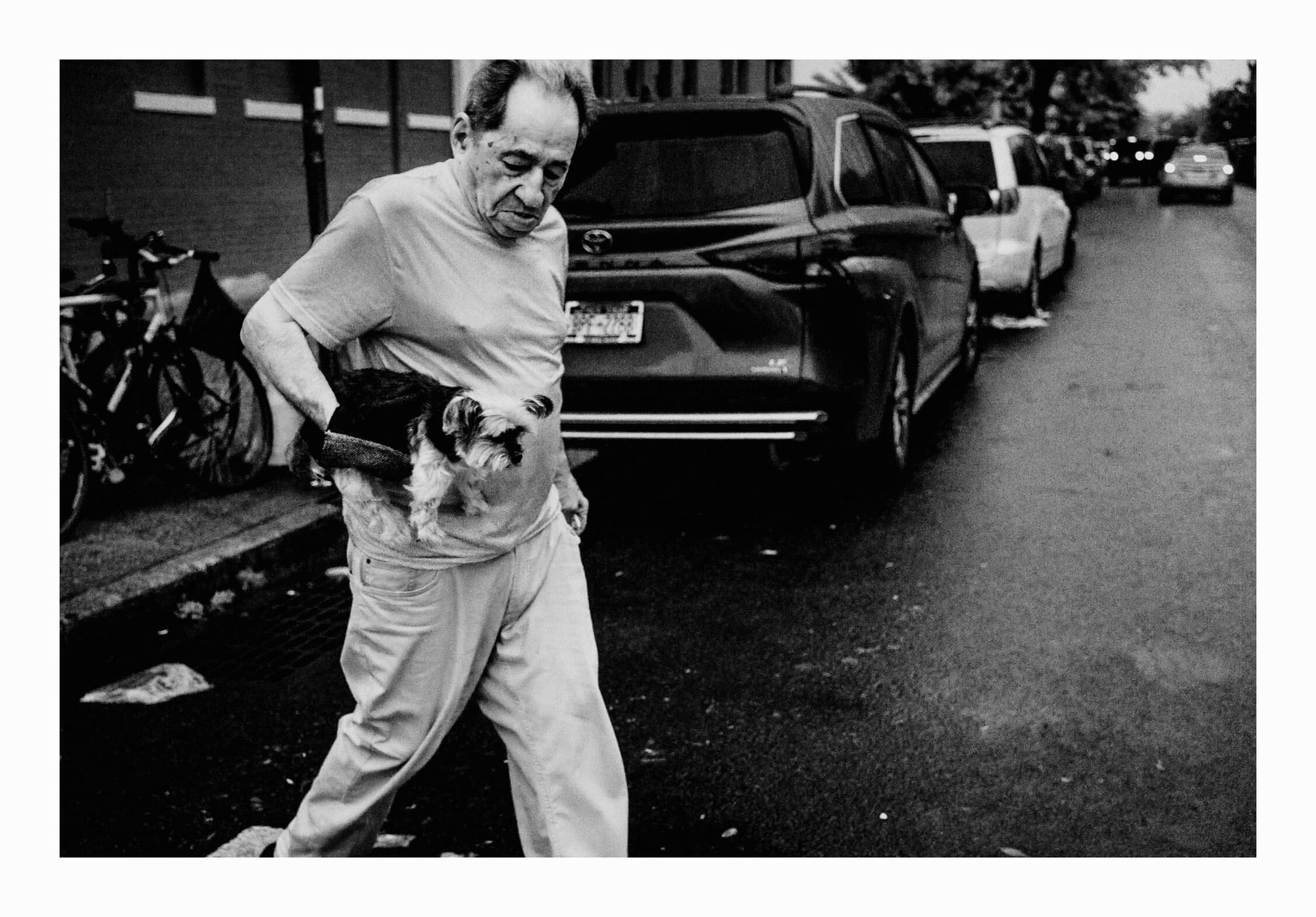 Brooklyn Senior holding Small Dog Crossing Street Black and White Fine Art Photo.