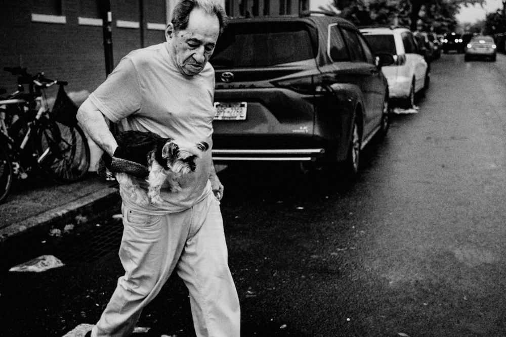 Brooklyn Senior holding Small Dog Crossing Street Black and White Fine Art Photo.
