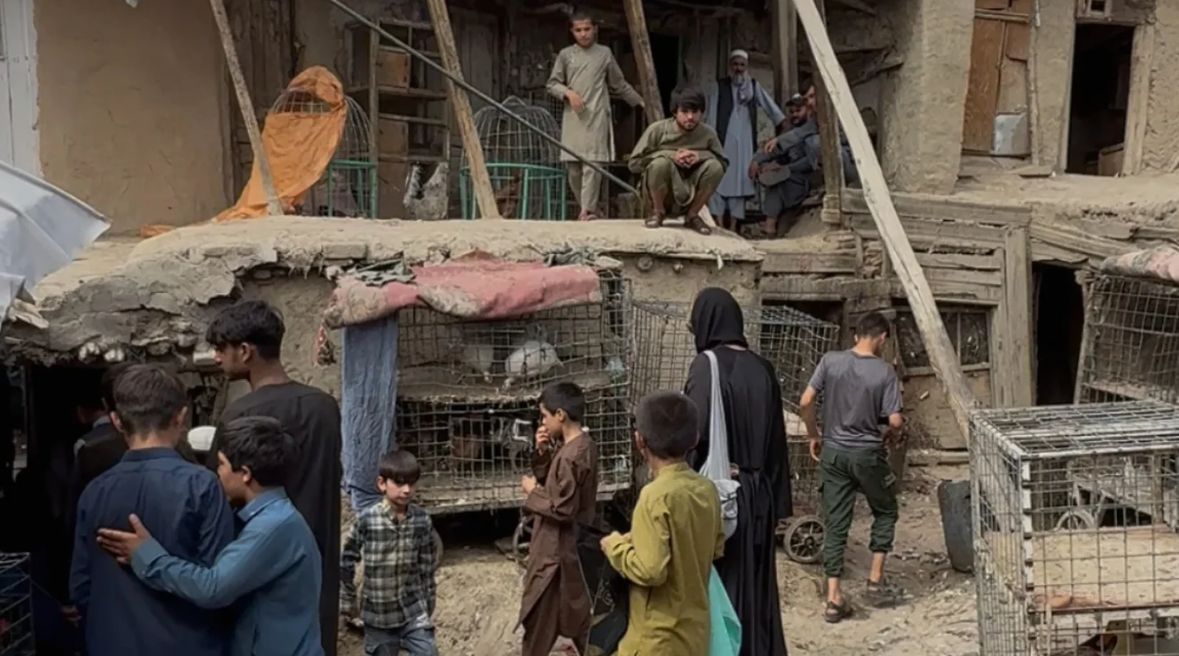 A Woman in Afghanistan: My Experience in the Country that ‘Hates Women’