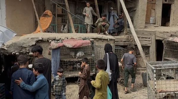 A Woman in Afghanistan: My Experience in the Country that ‘Hates Women’