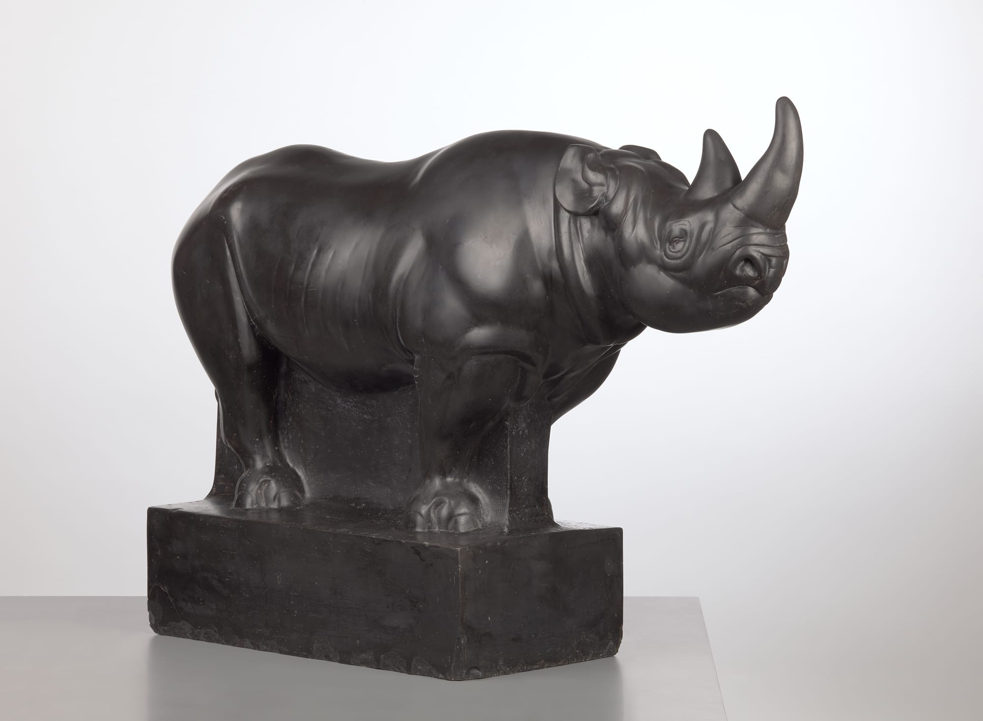 Fritz Behn, Rhino, before 1913