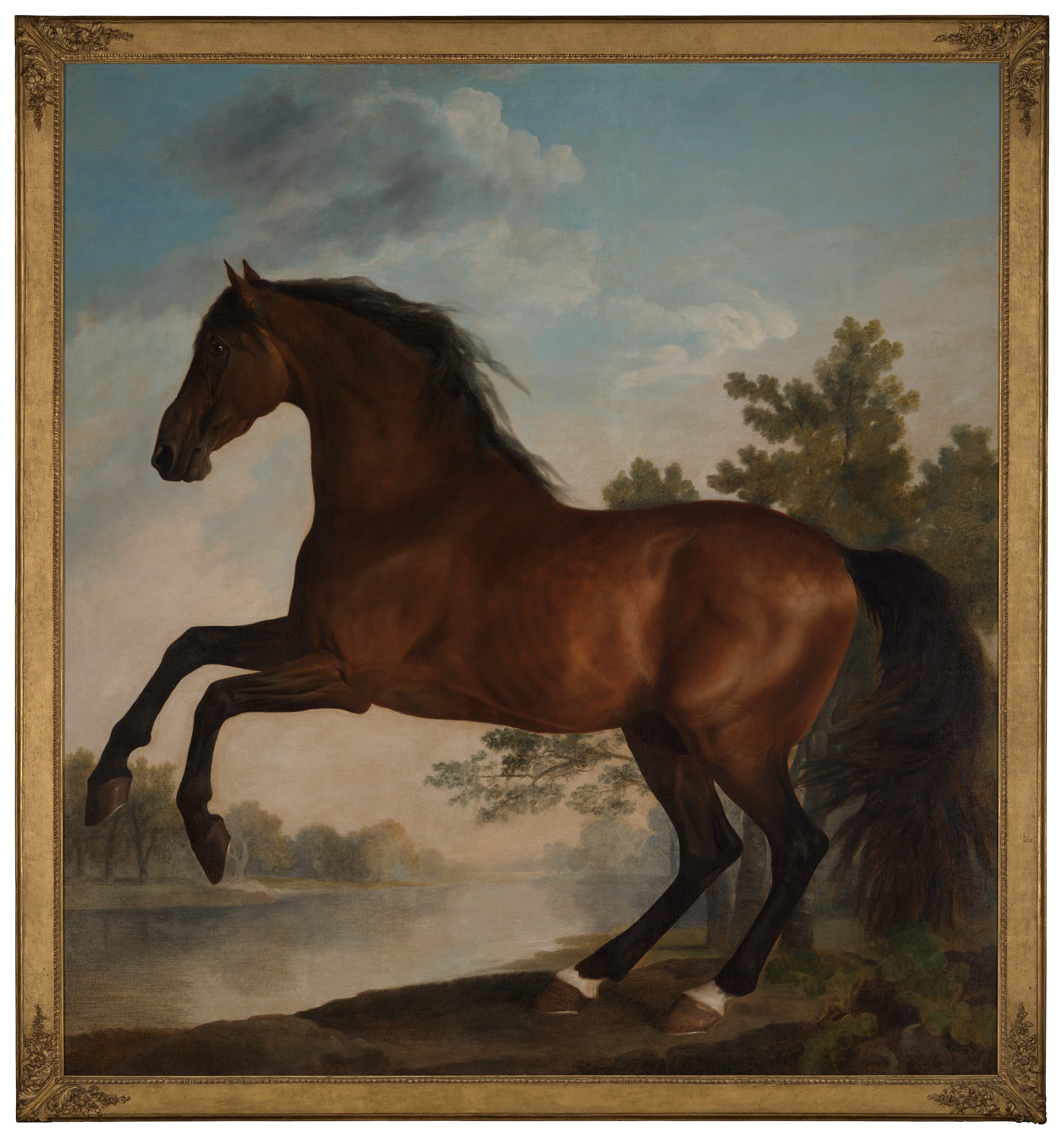 Scrub, a bay horse belonging to the Marquess of Rockingham by George Stubbs, about 1762