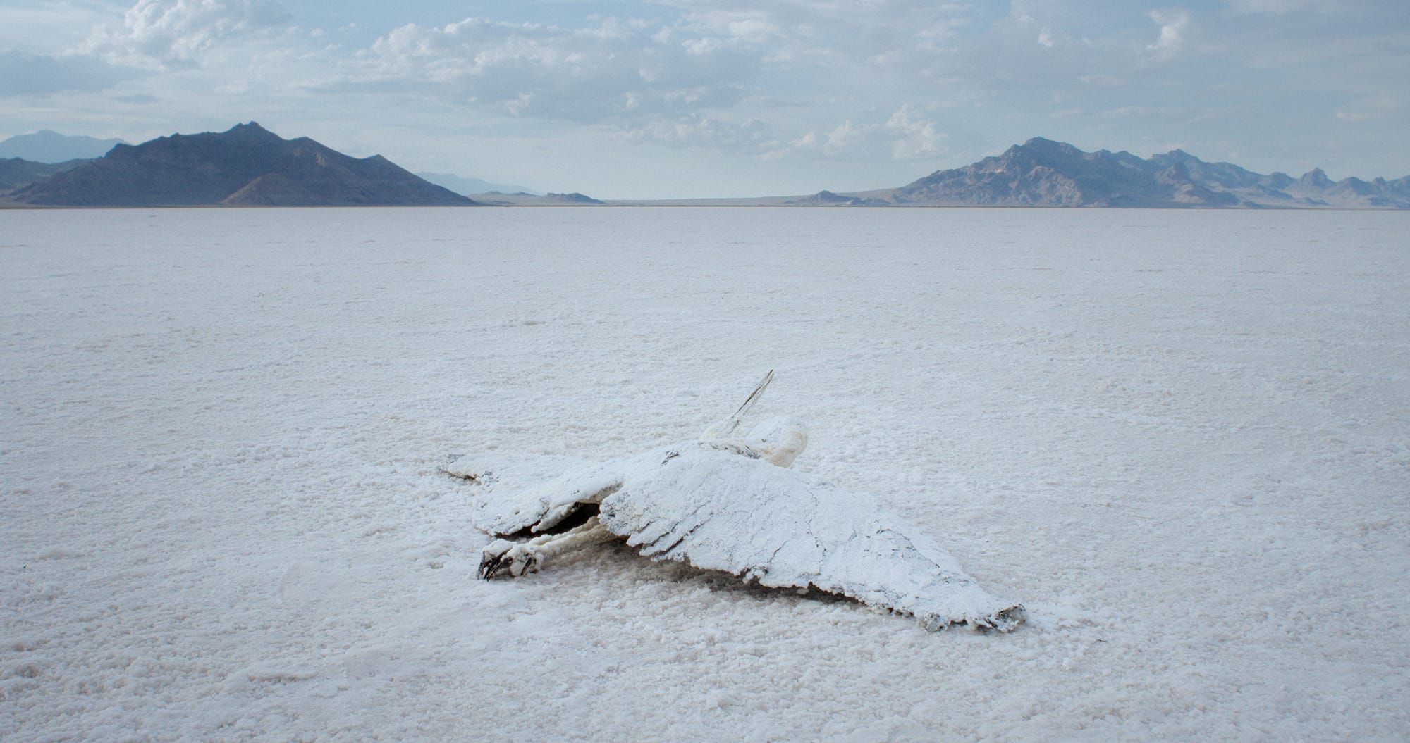 Felix Lenz, Brute Force [Exhibition Cut], 2025.