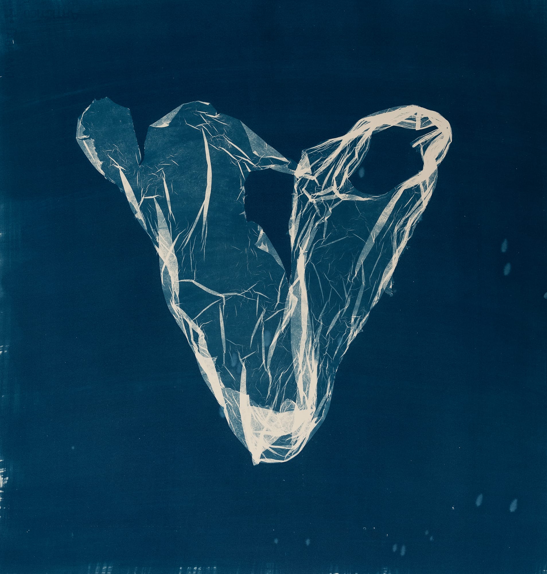 Suzette Bousema, Future Relics 40, 2025