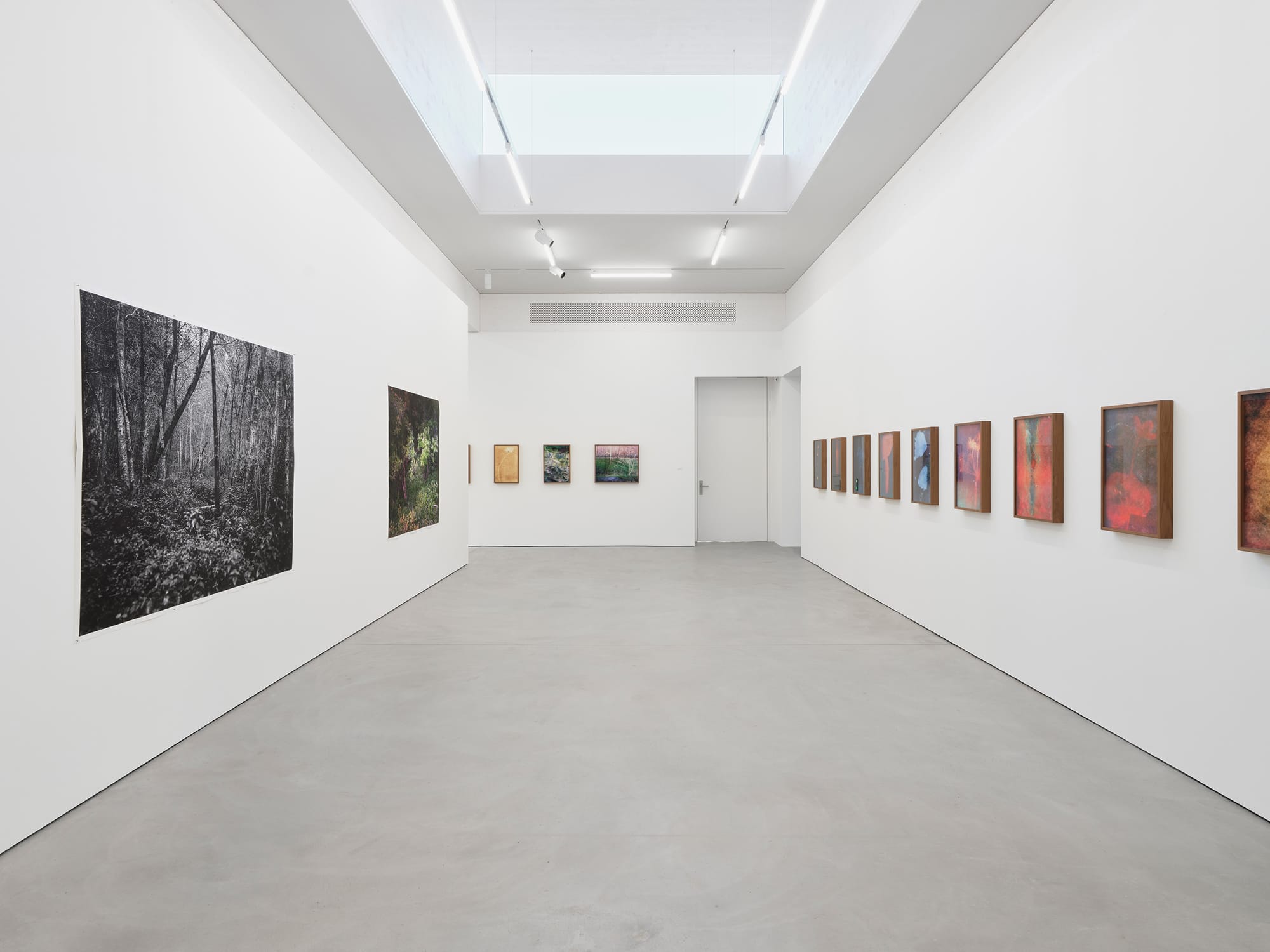 “Ester Vonplon — Wingbeat” Installation view
