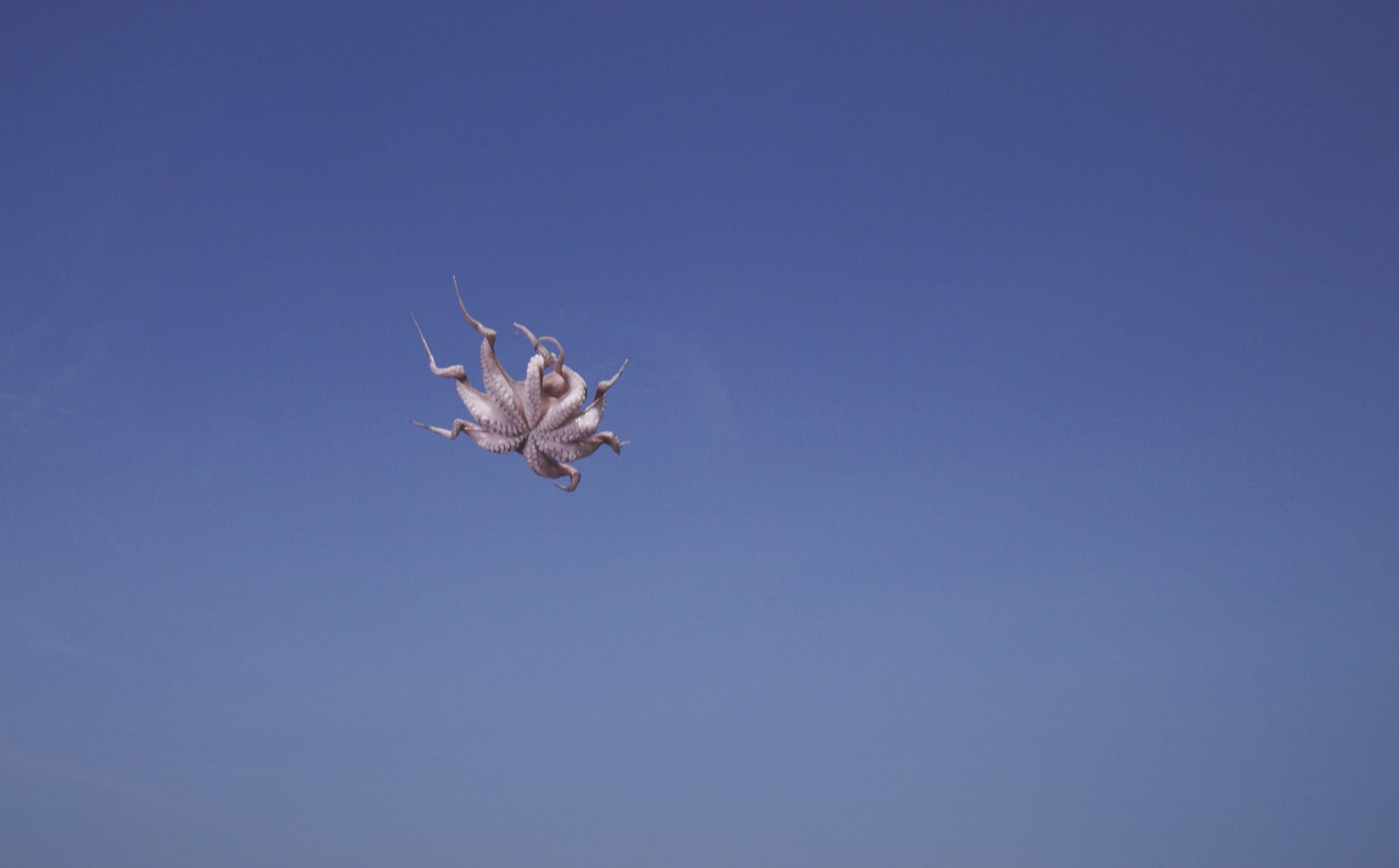 Asta Gröting, Things, 2018, video still