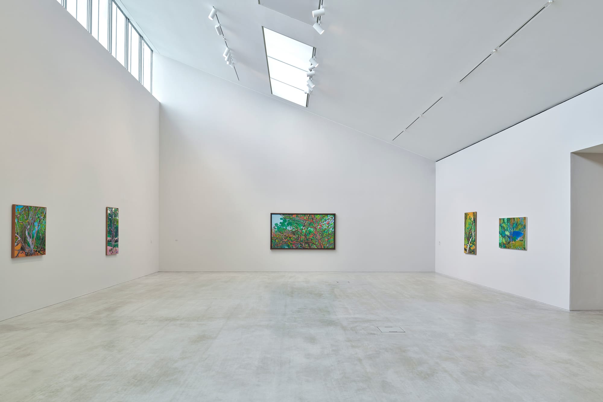 Hulda Guzmán: Please awake - asked Nature kindly, 2026. Installation view