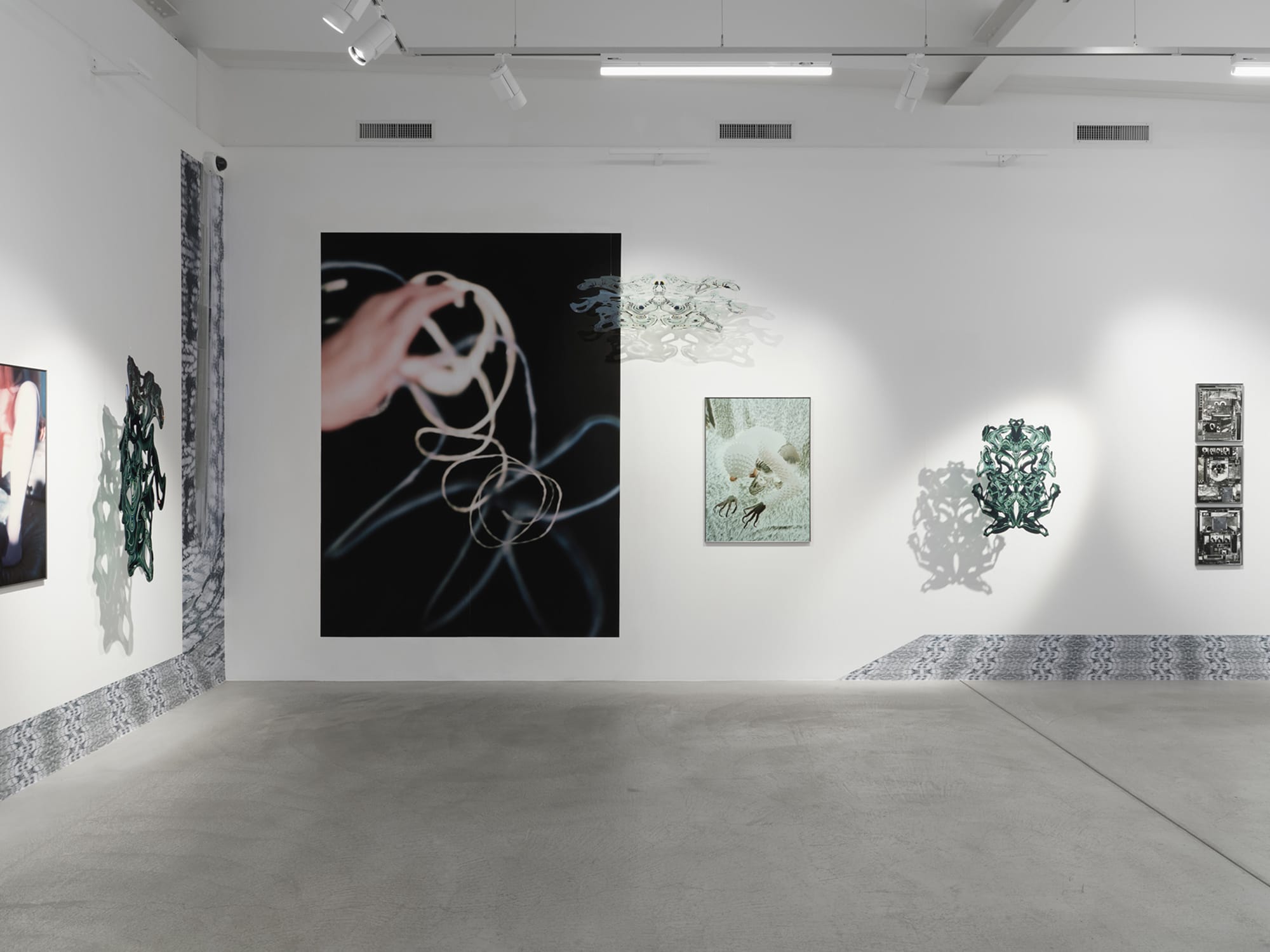 Installation View Shadow Creatures – From Spirit Photography to the Ghosts of the Algorithm