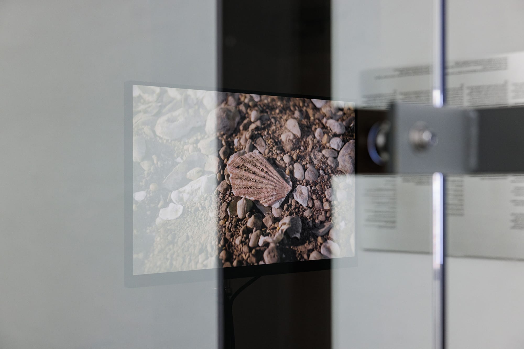 MAK Exhibition View, 2026. FELIX LENZ: Soft Image, Brittle Grounds.