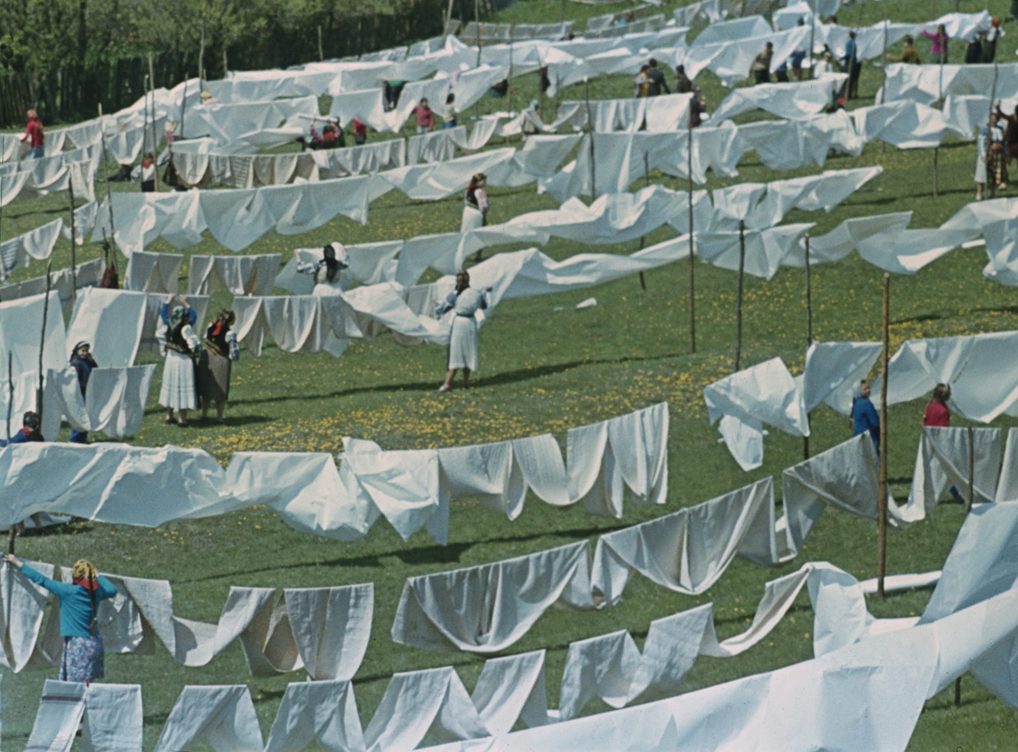 Ana Lupas, Humid Installation, 1970