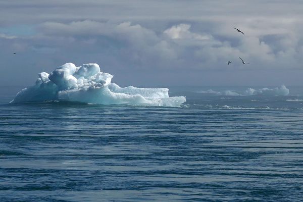 AI's climate impact is still a black box