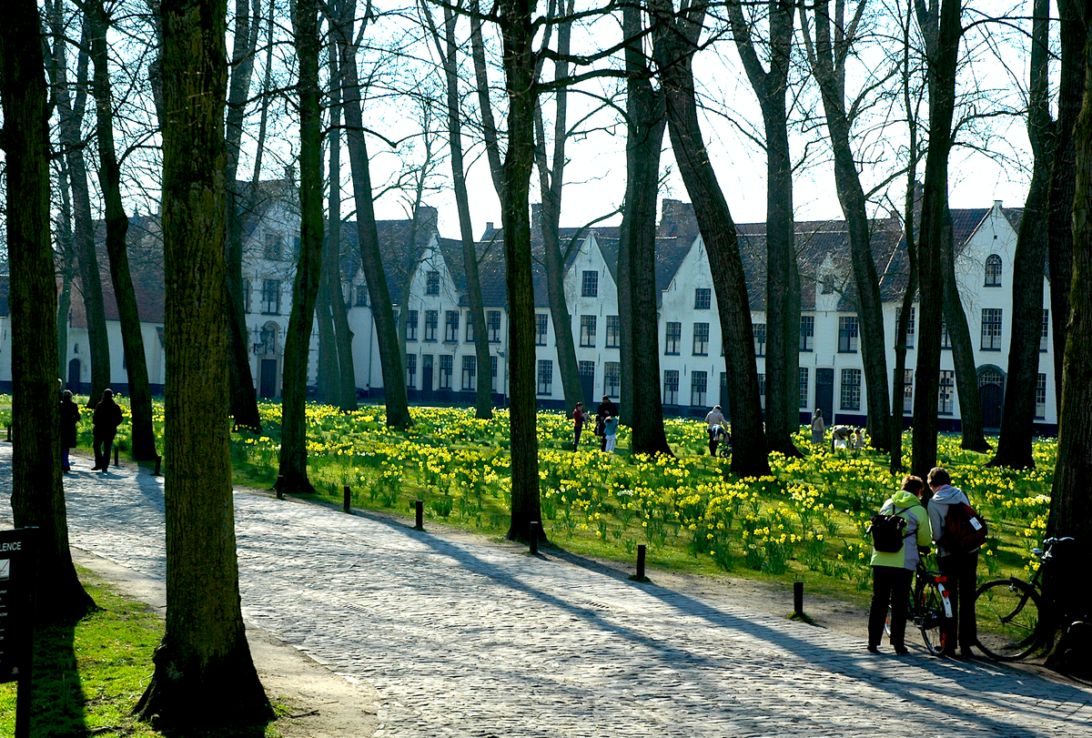 布魯日 春天假期：《In Bruges》
