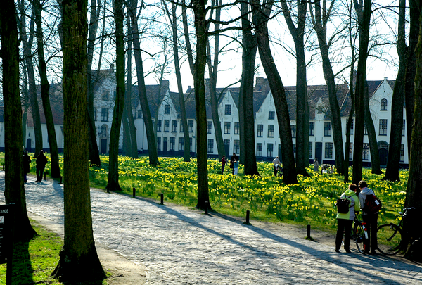 布魯日 春天假期：《In Bruges》