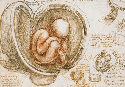 Estado de Impureza al Concebir