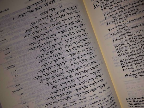 La Tzedaqá libra de la muerte" (Mishlé 10:2)