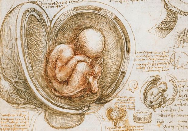 Estado de Impureza al Concebir