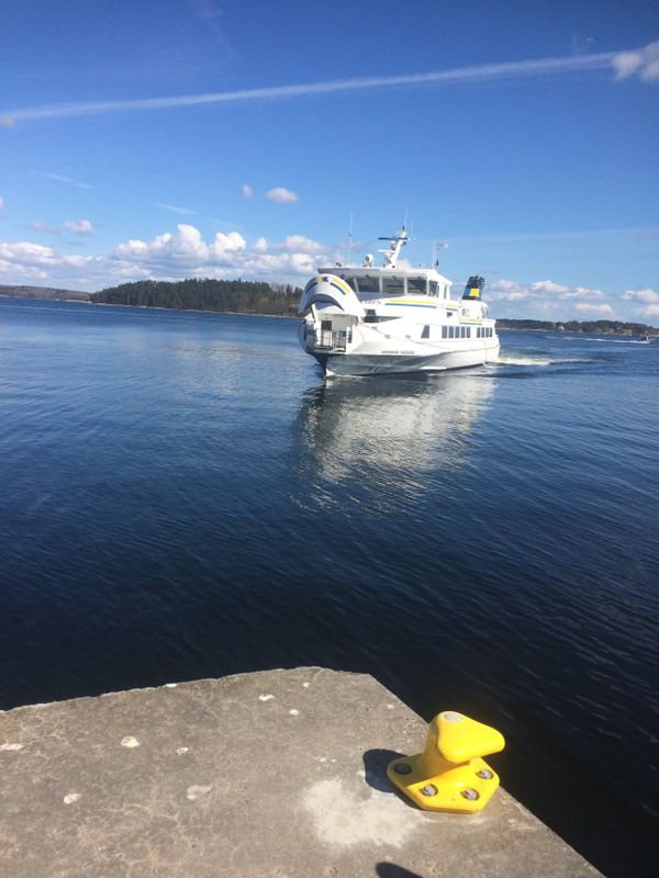 Freedom is being on a boat