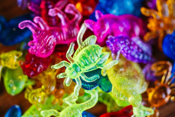 Beautifully coloured candy in the shape of bugs