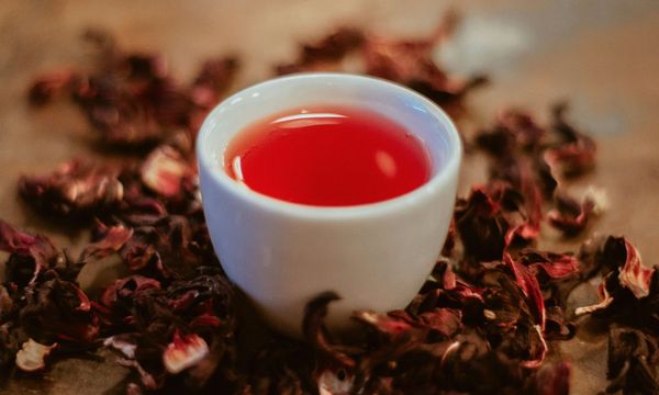 A white cup of deep red hibiscus tea