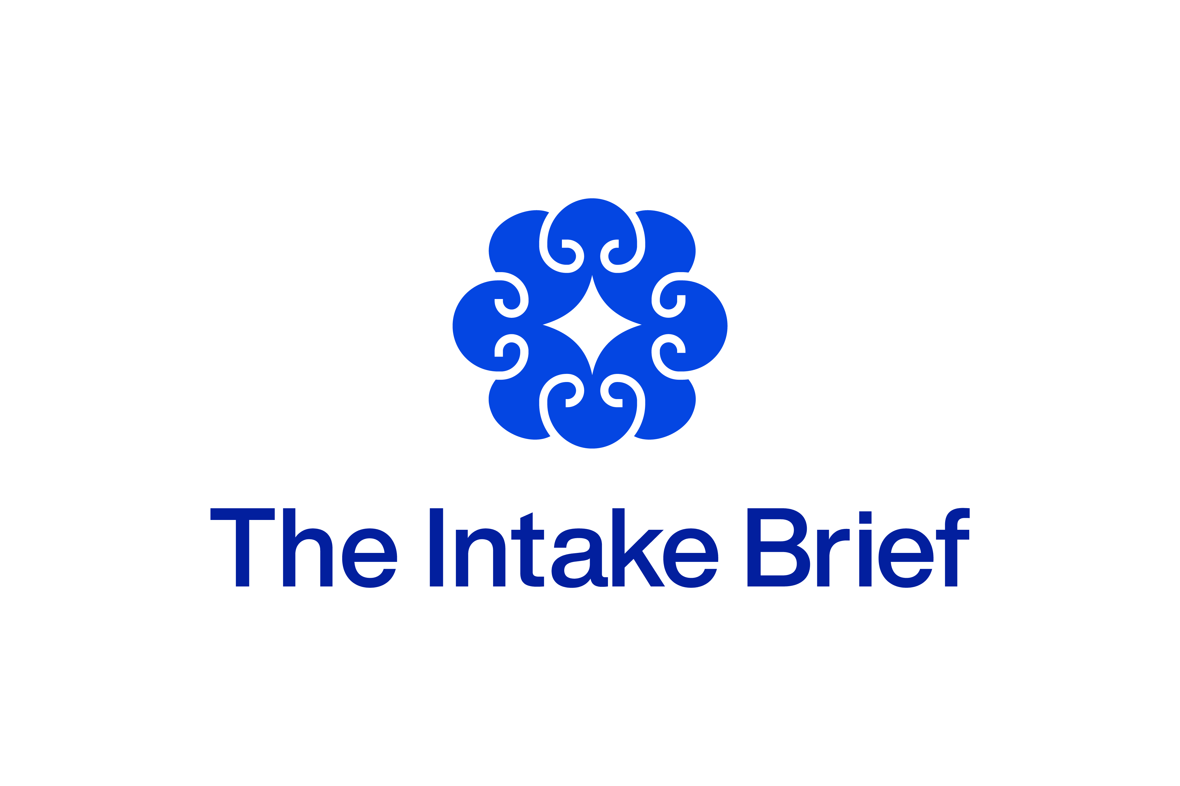 The Intake Brief