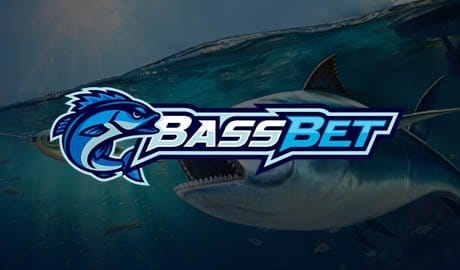 Review: Aplikacja bez pobierania casino bassbet – co trzeba wiedzieć?