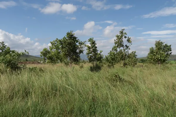 Parkside City: A New Benchmark for Urban Growth in Port Moresby