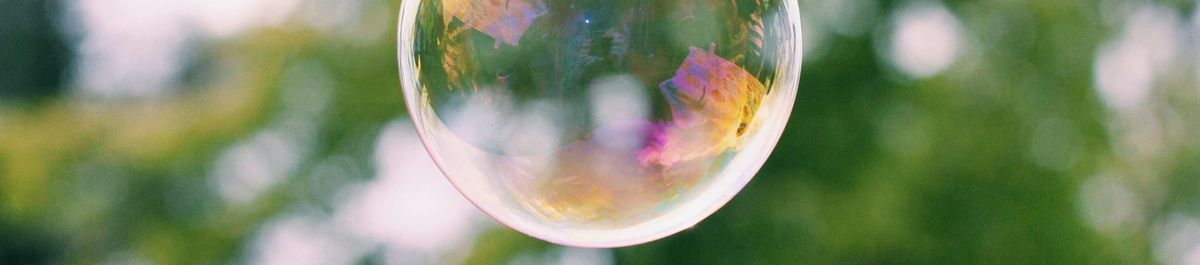 The Bubble