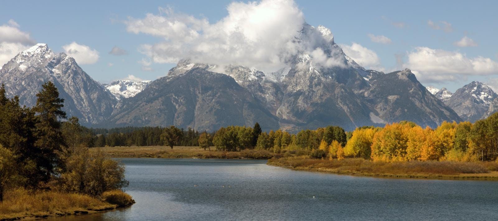The Teton Range rising over a bend in the Snake River with autumn cottonwoods along the bank, Grand Teton National Park