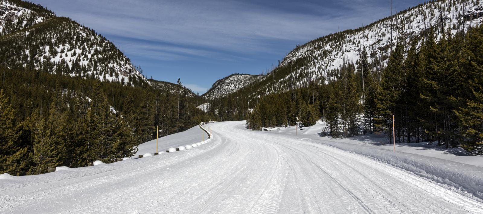 A snow-covered road between lodgepole pines in Yellowstone National Park in winter