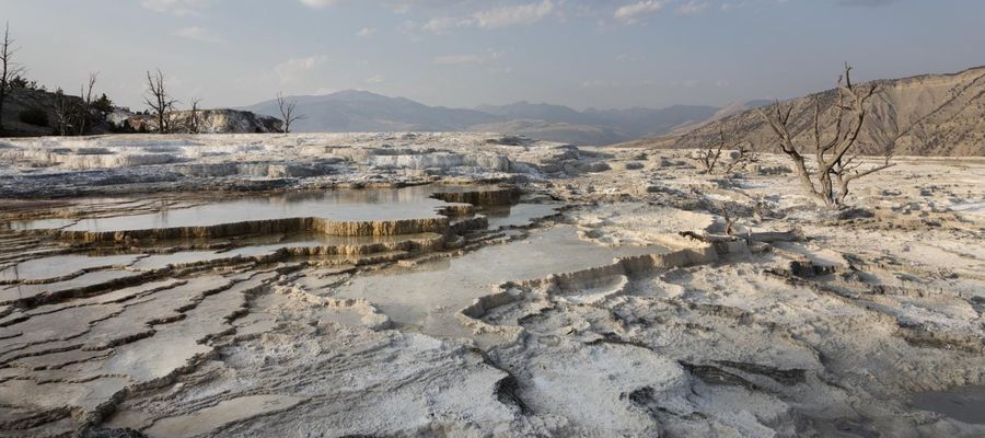 The white travertine terraces and pools of the Lower Terrace at Mammoth Hot Springs, Yellowstone National Park