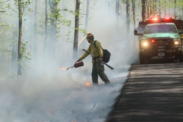 Roads reopen, but the work isn't over: what to know about the wildfire in Daniel Boone National Forrest