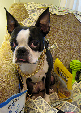 How Does Ravelry Make Money?