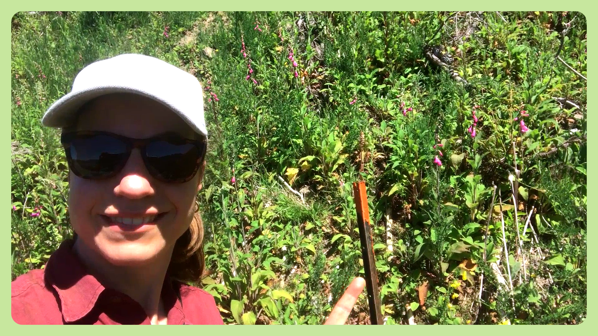 In the field with a biodiversity plot corner post