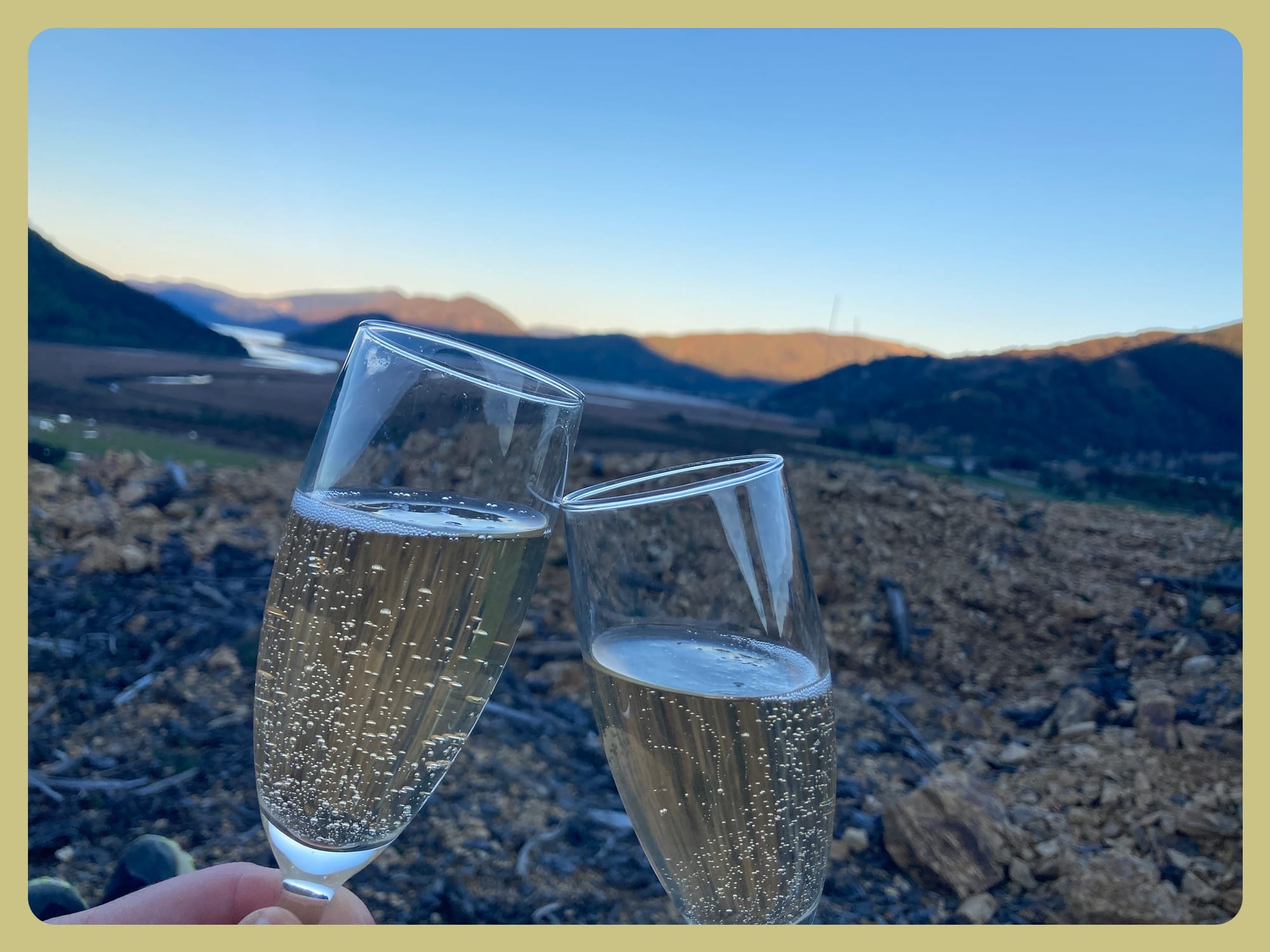 Two glasses of champagne on bare land in Aotearoa New Zealand before the official purchase