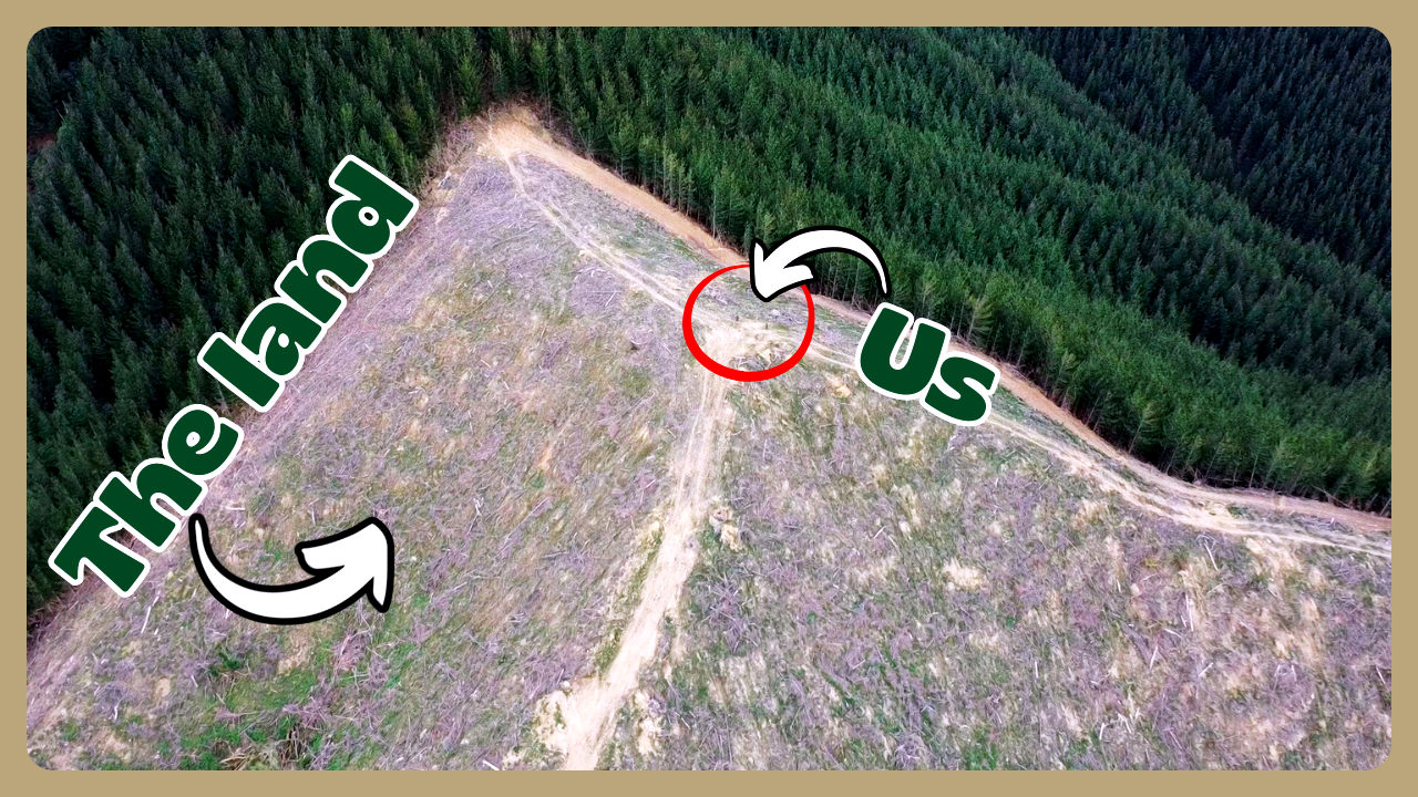 Two people on bare land being restored to native forest in New Zealand
