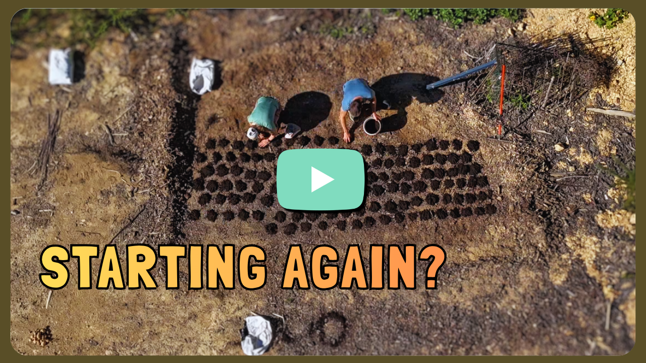 Thumbnail for video on permaculture vegetable garden techniques
