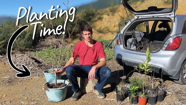 Xander sitting in with a group of plants ready to be planted