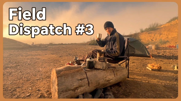 Field Dispatch #3 — Winter mornings