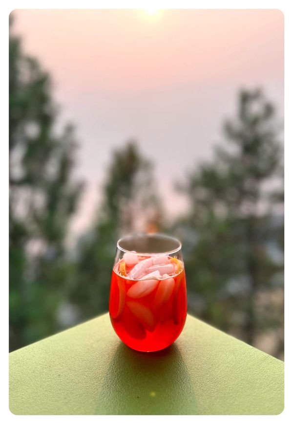 Angelini 1890 Spritz