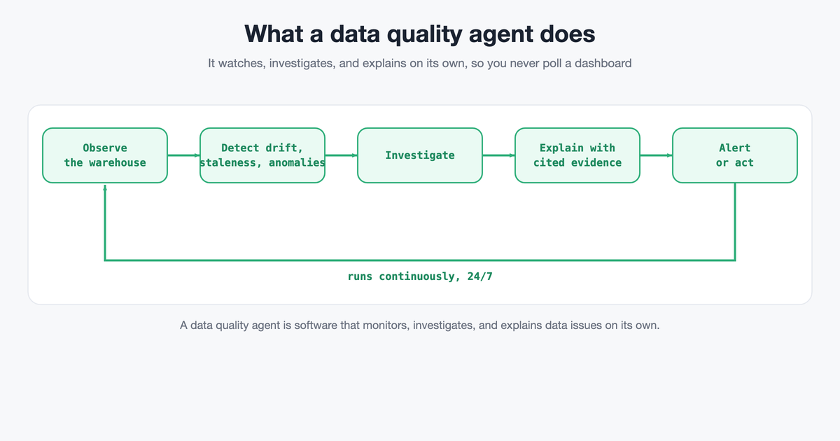 What Is a Data Quality Agent?