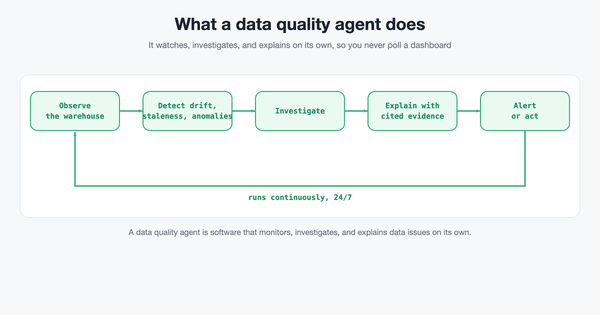 What Is a Data Quality Agent?