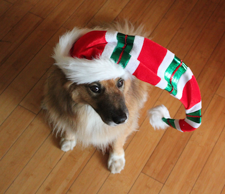 Happy Holidays