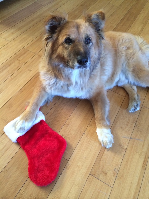 Merry Holidays and a Joyous New Year!!!