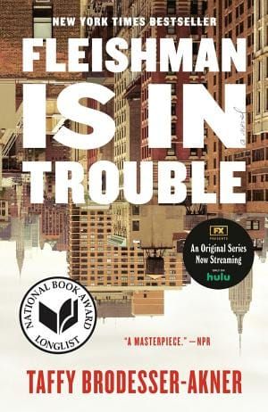 Fleishman Is In Trouble