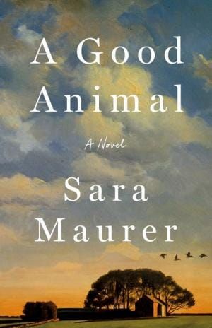 A Good Animal by Sara Maurer - Book Cover