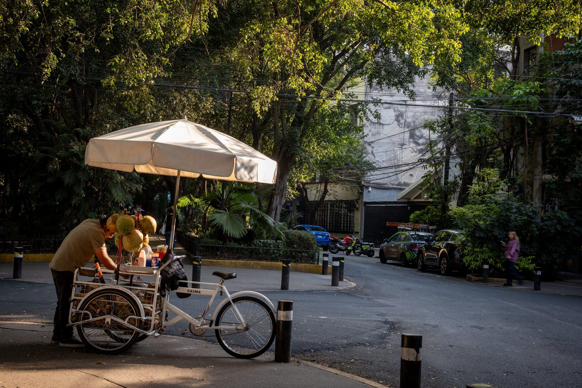Quick Shots From Mexico City 🇲🇽