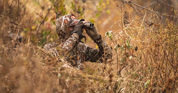 August Bucks Are Predictable. Pressure Is What Breaks The Pattern