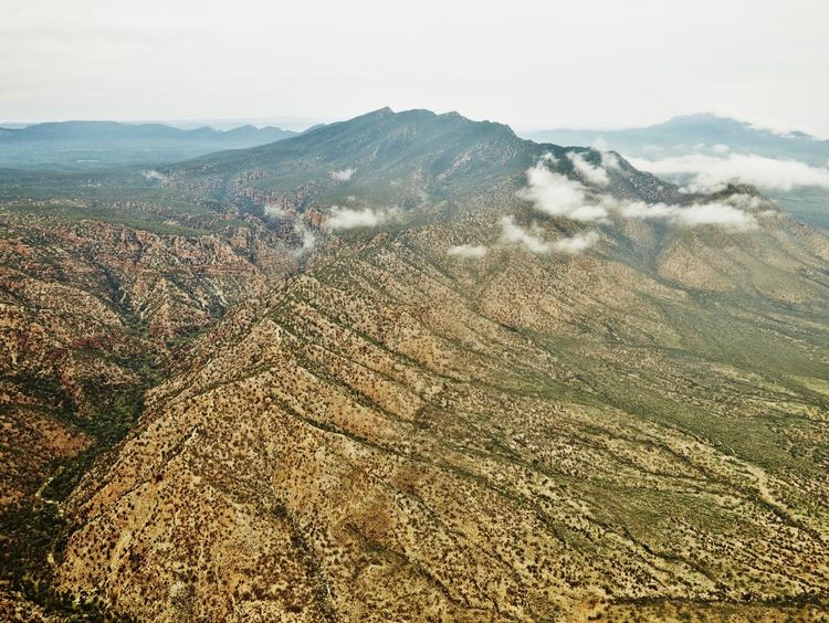 #84: The Intellectual Wild South – Eric Weinstein