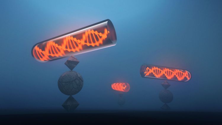 #121: The Doyen Of Behavioural Genetics On Untangling Nature And Nurture – Robert Plomin